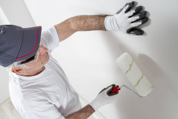 Best Mold Removal for HVAC Installations  in Chester Center, CT