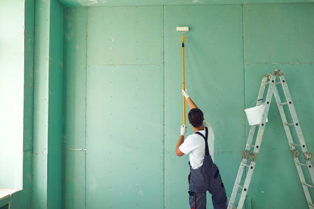 Best Basement Mold Removal  in Chester Center, CT