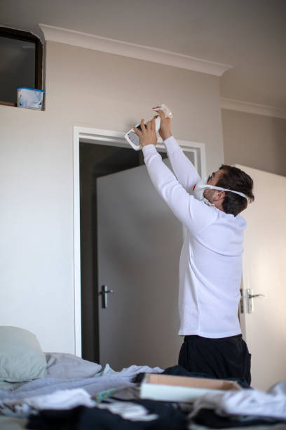 Best Emergency Mold Remediation  in Chester Center, CT